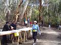 1a bush trail 084